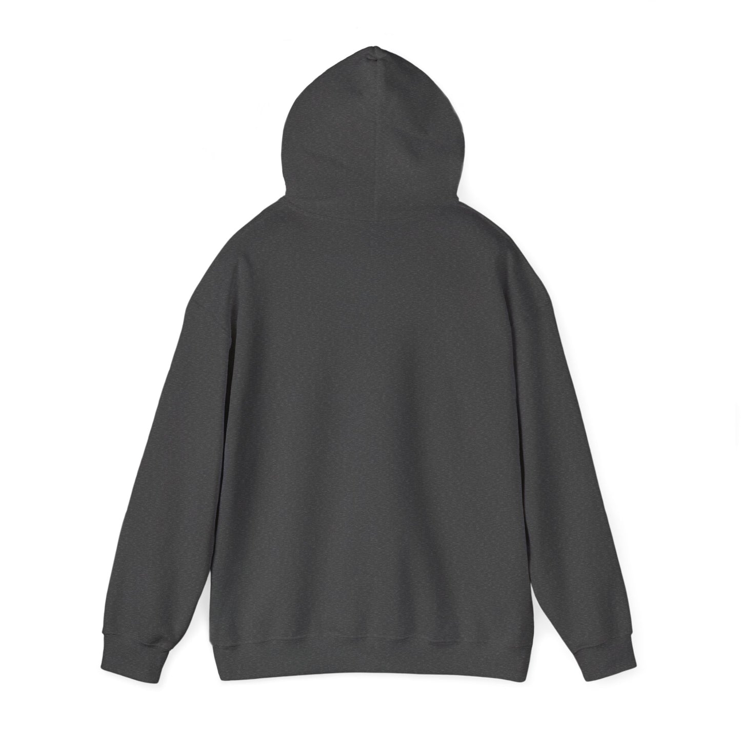 Make The Money Hoodie —Streetwear Pullover