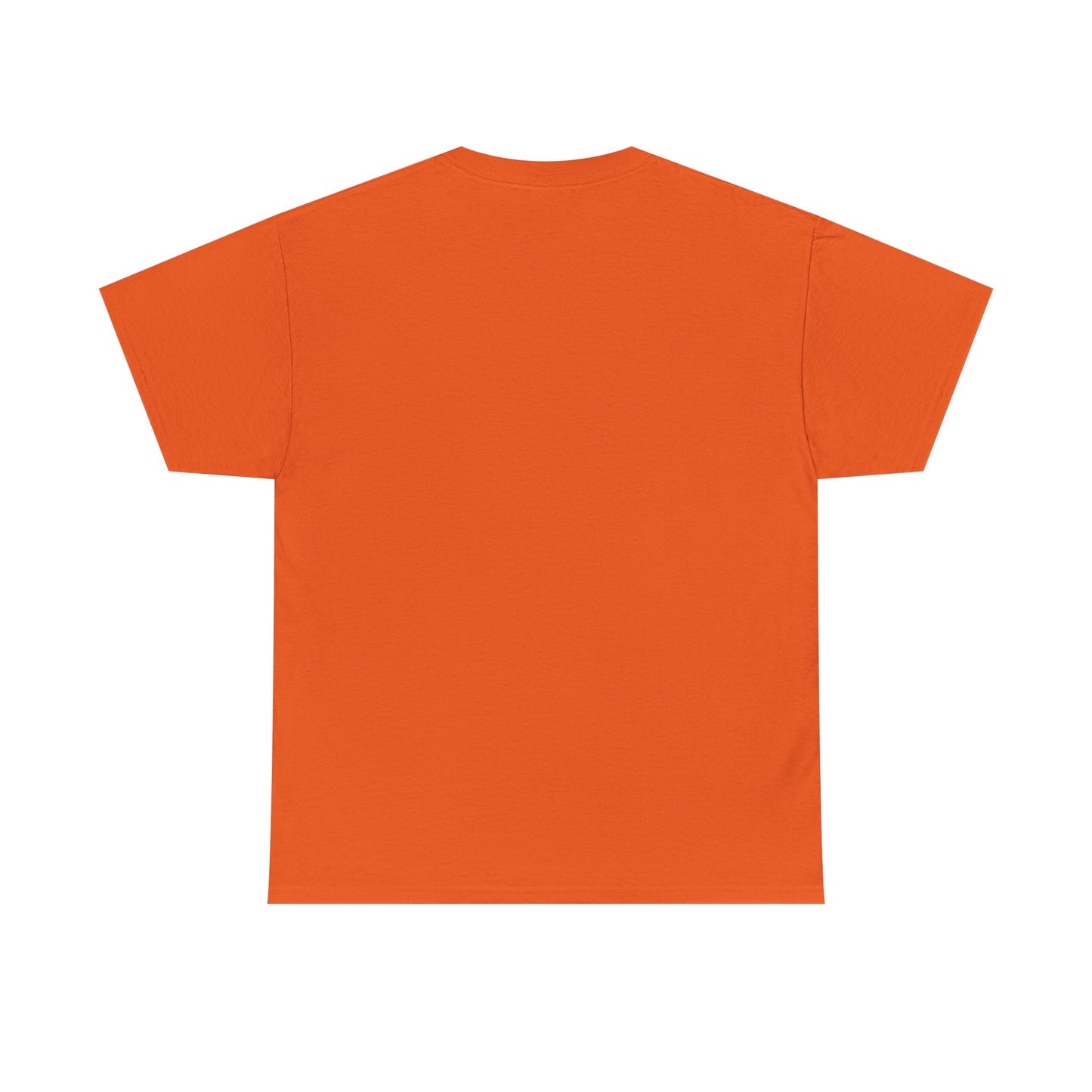 Raccoon “Snitches Get Stitches” Graphic Tee